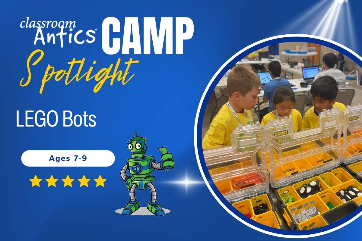 Web Camp Spotlights 2025