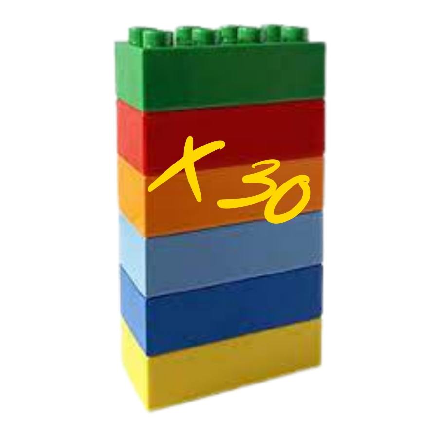 Set of 30 LEGO Duplo Six Bricks